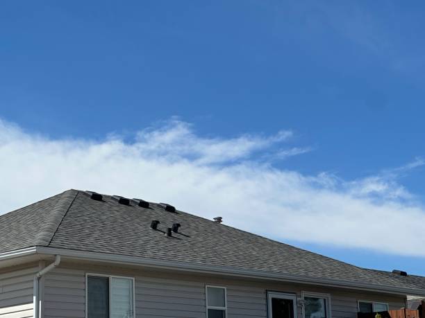 Emergency Roof Repair in Kapaau, HI